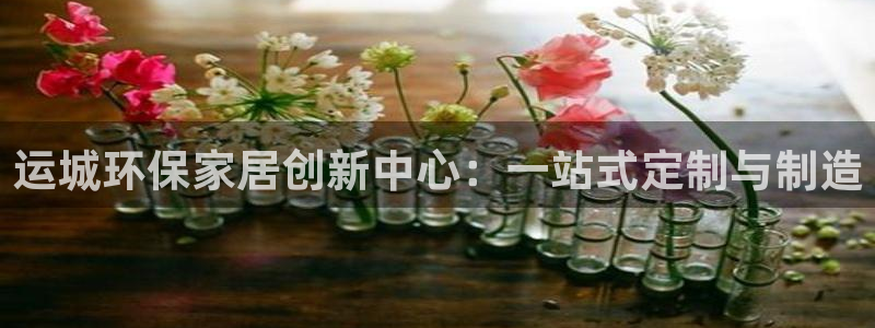 杏宇注册登录官网：运城环保家居创新中心：一站式定制与制造