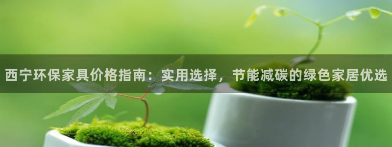 杏宇官网主管