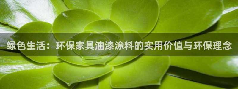 杏宇官网游戏