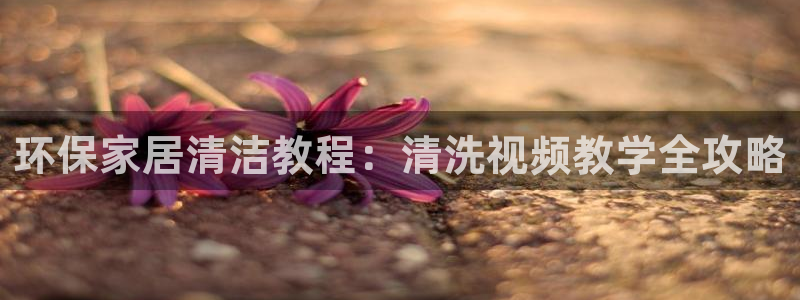 杏宇平台官网下载