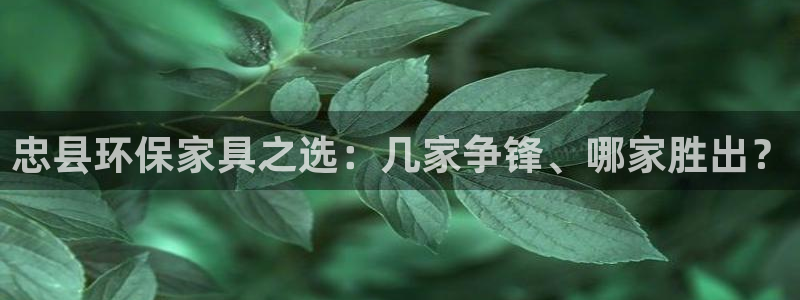 杏宇平台在哪里