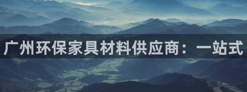 杏宇总代：广州环保家具材料供应商：一站式