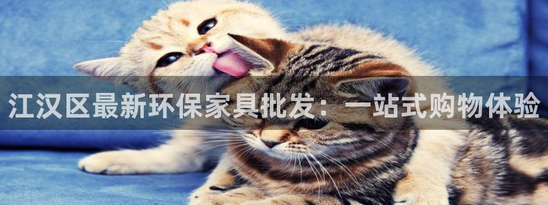 杏宇平台服务中心是干嘛的：江汉区最新环保家具批发：一站式购物