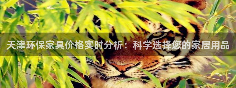 杏宇平台在哪里