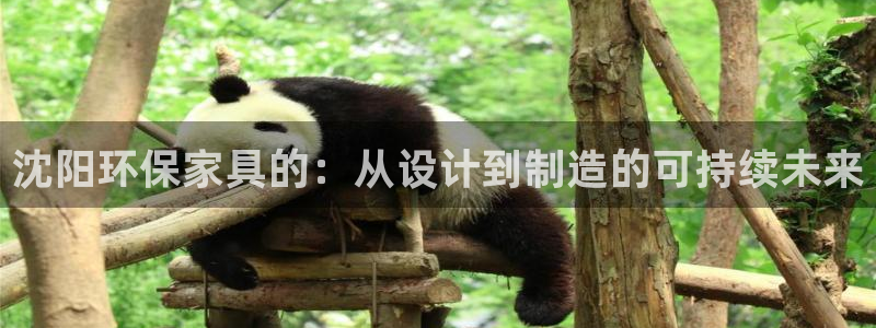 杏宇平台怎样