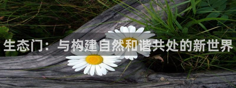 杏宇平台线路测试