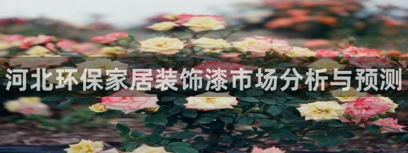 杏宇官网登录：河北环保家居装饰漆市场分析与预测