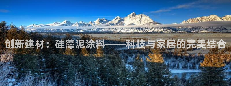 杏宇平台登录方式：创新建材：硅藻泥涂料——科技与家居的完美结