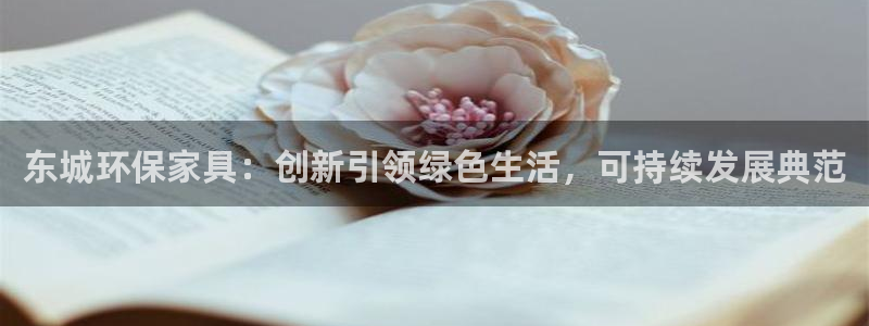 杏宇平台代理怎么赚钱的：东城环保家具：创新引领绿色生活，可持