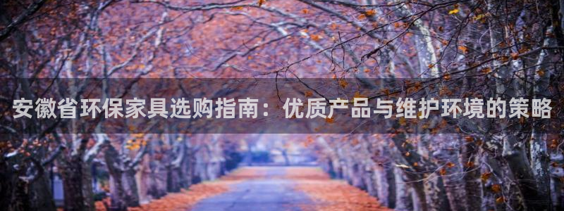 杏宇平台黑款：安徽省环保家具选购指南：优质产品与维护环境的策