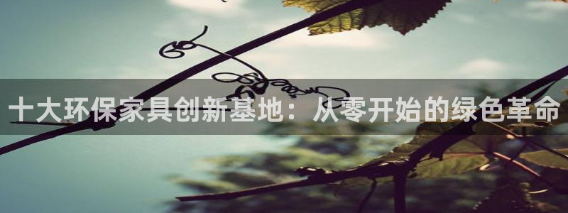 杏宇管网登录：十大环保家具创新基地：从零开始的绿色革命