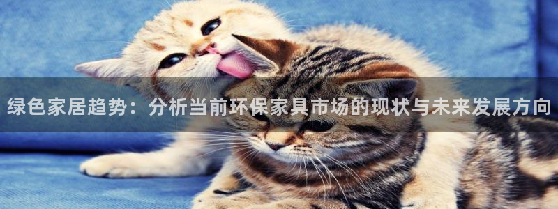 杏宇平台服务中心