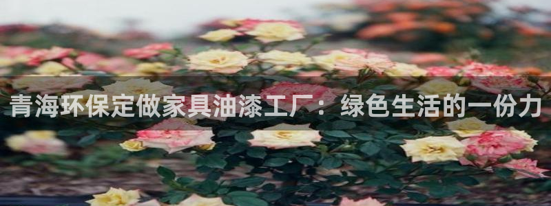 杏宇平台主管