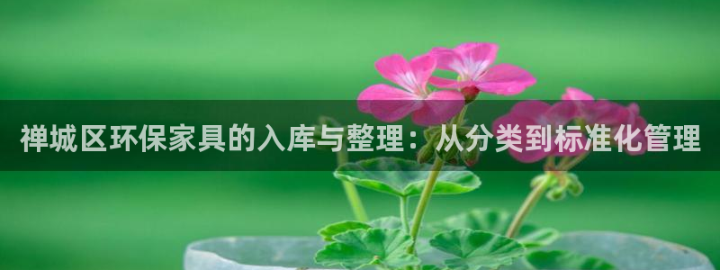杏宇平台正规么