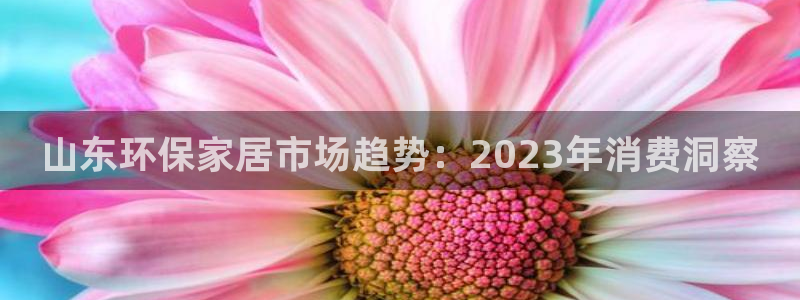 杏宇平台官网登录：山东环保家居市场趋势：2023年消费洞察