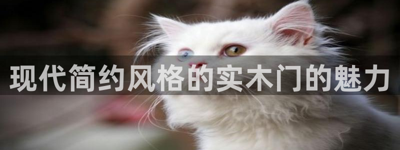 杏宇是什么平台：现代简约风格的实木门的魅力