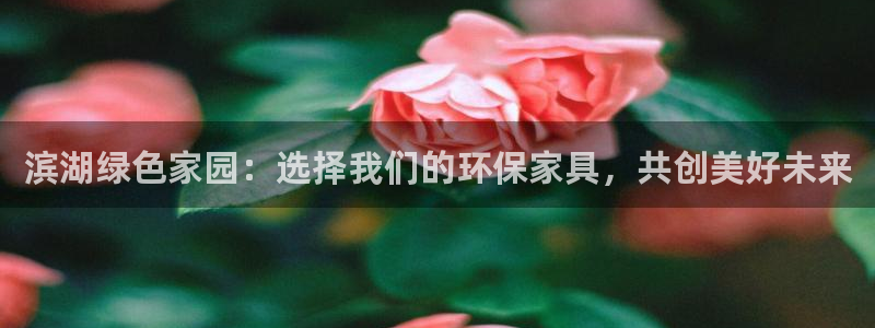 杏宇平台手机app：滨湖绿色家园：选择我们的环保家具，共创美