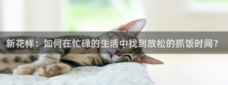 蜘蛛nba直播：新花样：如何在忙碌的生活中找到放松的抓饭时间？