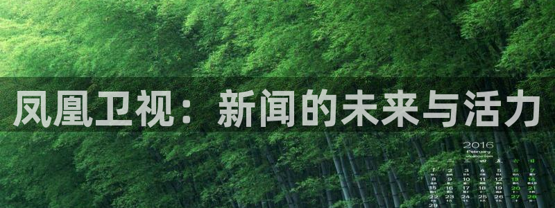 nba免费直播在线直播蜘蛛直播：凤凰卫视：新闻的未来与活力