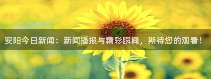 nba在线直播蜘蛛直播：安阳今日新闻：新闻播报与精彩瞬间，期待您的观看！