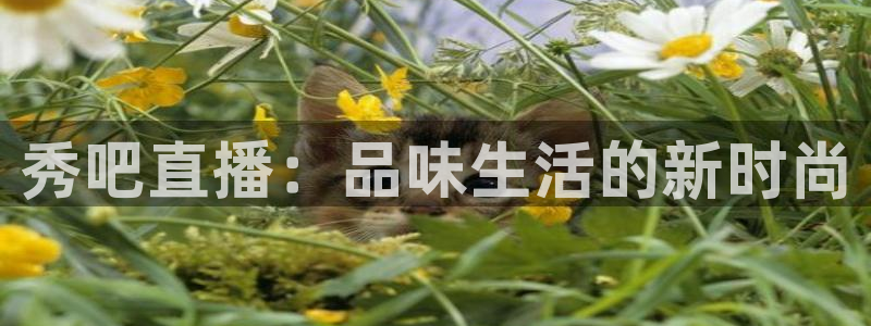 蜘蛛直播nba直播在线直播：秀吧直播：品味生活的新时尚