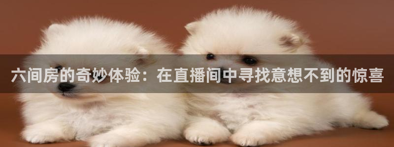 nba免费直播在线直播蜘蛛直播：六间房的奇妙体验：在直播间中寻找意想不到的惊喜