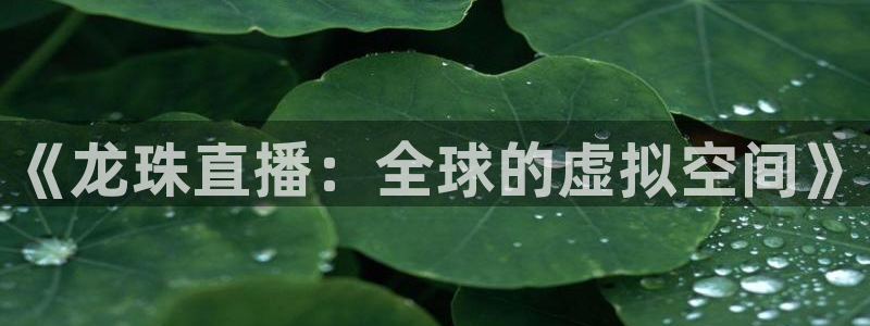 蜘蛛直播体育可可直播：《龙珠直播：全球的虚拟空间》