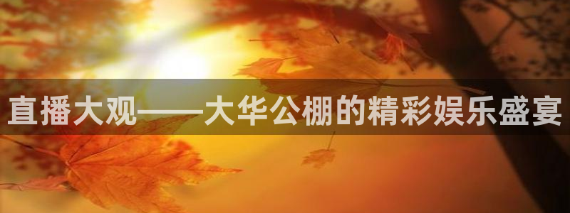 蜘蛛直播体育：直播大观——大华公棚的精彩娱乐盛宴