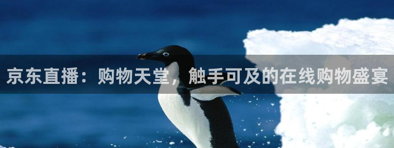 蜘蛛nba免费直播在线观看高清：京东直播：购物天堂，触手可及的在线购物盛宴